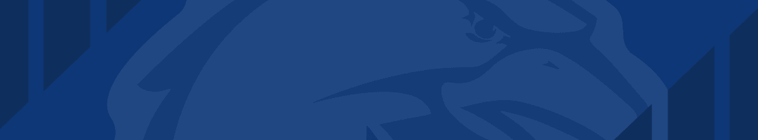 半岛体育APP-平度分赛场观赛指南、互动活动重磅来袭~